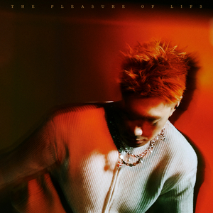 丰满少妇人妻无码
