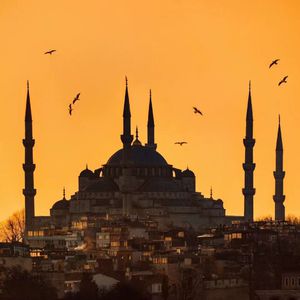 丰满少妇人妻无码
